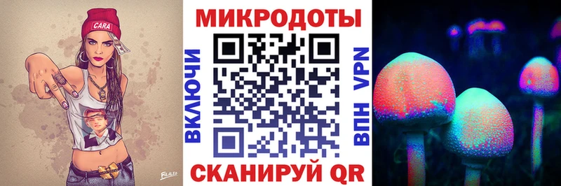 Псилоцибиновые грибы мицелий  Вытегра 